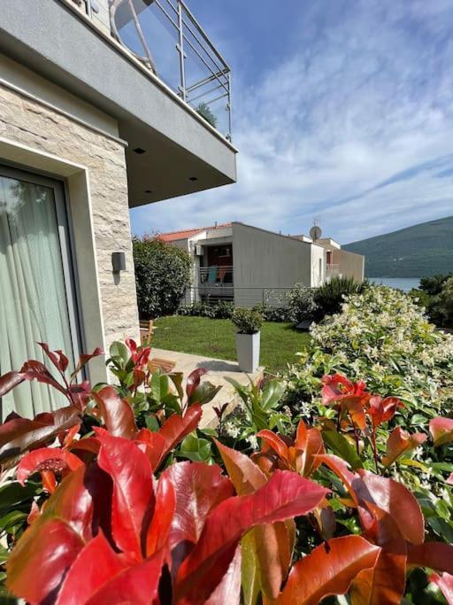 Acacia Hill Apartments Herceg Novi Bagian luar foto