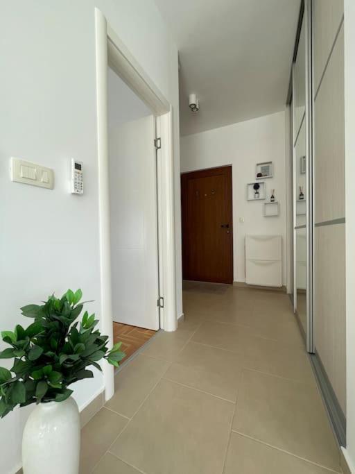 Acacia Hill Apartments Herceg Novi Bagian luar foto