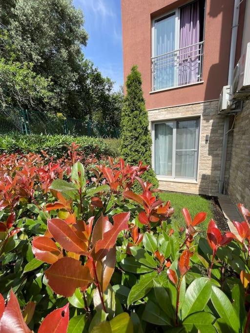 Acacia Hill Apartments Herceg Novi Bagian luar foto